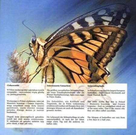 Набор монет Польши Бабочка 2011 года, 6 монет + жетон в альбоме