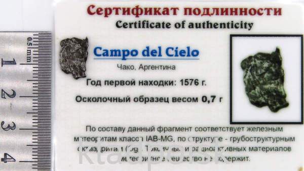 Осколок метеорита Campo del Cielo, арт 18