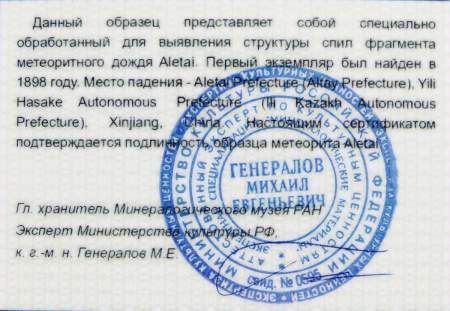 Кулон круглый с метеоритом Aletai, арт 10