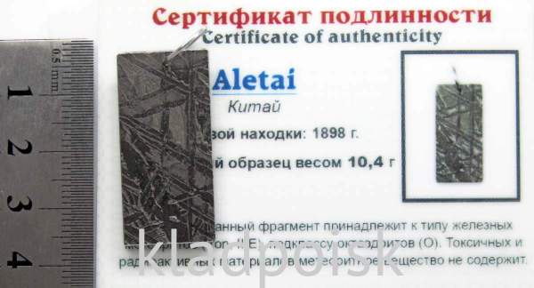 Подвеска из метеорита Aletai, арт 9