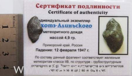Индивидуальный экземпляр Сихотэ-Алиньского метеоритного дождя (арт 5)