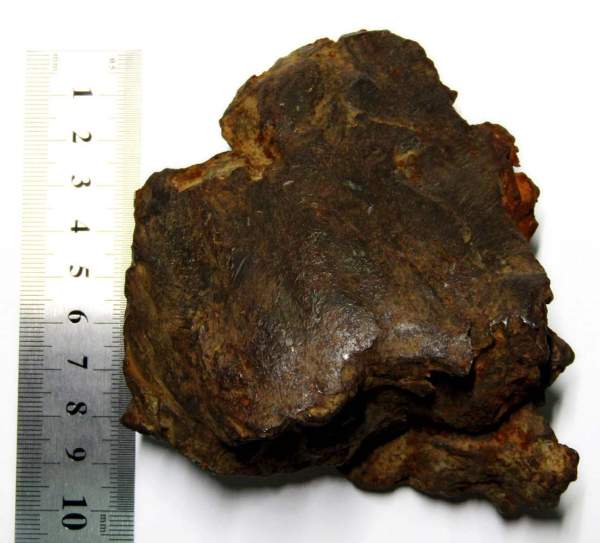 Осколок метеорита Сихотэ-Алинь арт 14