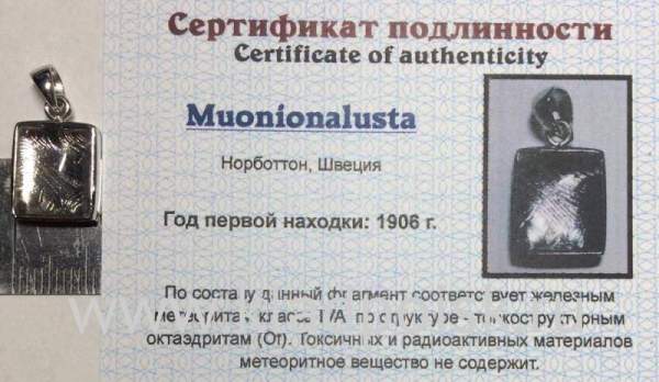 Подвеска из метеорита Муонионалуста (Muonionalusta) с родированием малая (арт 37)