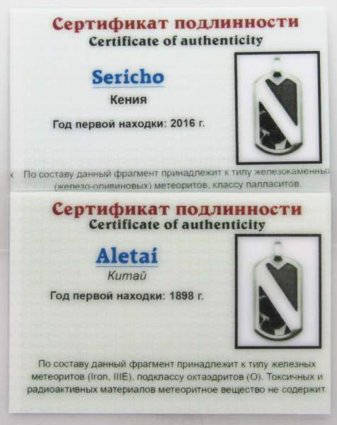 Кулон с метеоритами Aletai и Sericho