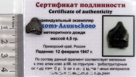 Индивидуальный экземпляр Сихотэ-Алиньского метеоритного дождя (арт 6)