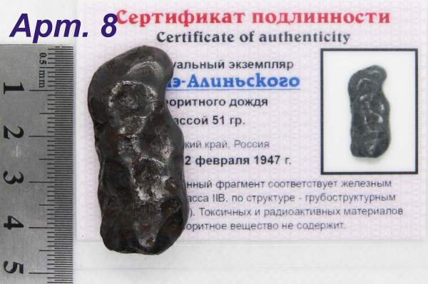 Индивидуальный экземпляр Сихотэ-Алиньского метеоритного дождя (арт 8)