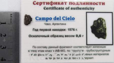 Осколок метеорита Campo del Cielo, арт 12