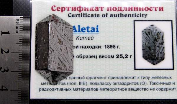 Ограненный осколок метеорита Aletai, арт 5