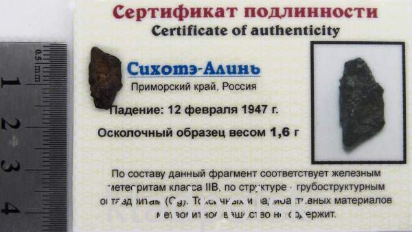 Осколок метеорита Сихотэ-Алинь арт 31