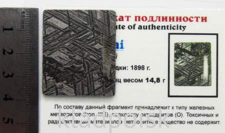 Спил метеорита Aletai, арт 26 Спил метеорита Aletai, арт 26