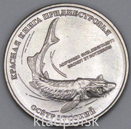 Монета Приднестровье 1 рубль 2018, Осетр русский