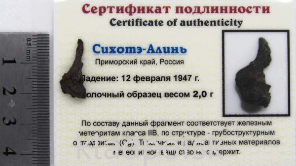 Осколок метеорита Сихотэ-Алинь арт 30