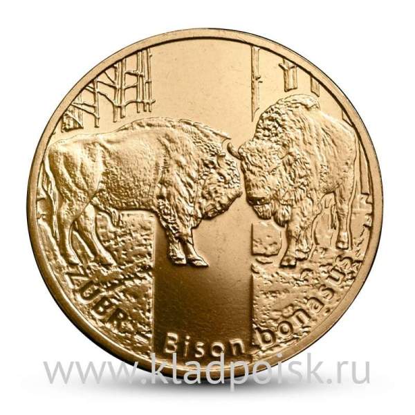 Монета 2 злотых Польша Зубр 2013