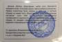 Спил метеорита Imilac арт 1