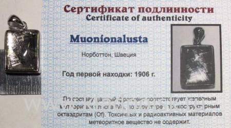 Подвеска из метеорита Муонионалуста (Muonionalusta) с родированием (арт 19) Подвеска из метеорита Муонионалуста (Muonionalusta) с родированием (арт 19)