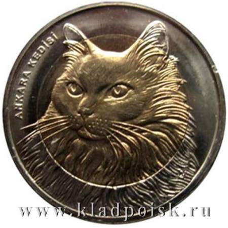 Монета 1 лира Турция – Кошка, 2010