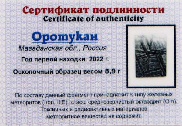 Спил метеорита Оротукан, арт 10 Спил метеорита Оротукан, арт 10