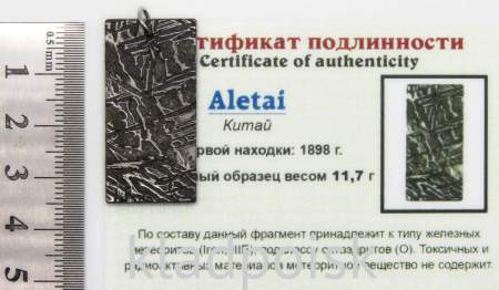 Подвеска из метеорита Aletai, арт 22