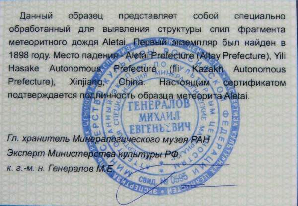 Кулон «Бабочка» с метеоритом Aletai, арт 2