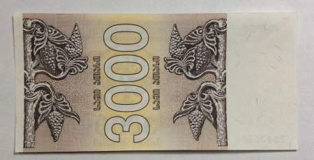 Банкнота Грузия 3000 купонов (лари) 1993 года
