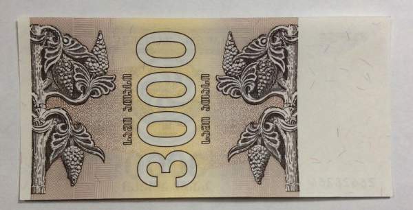 Банкнота Грузия 3000 купонов (лари) 1993 года Банкнота Грузия 3000 купонов (лари) 1993 года