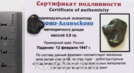 Индивидуальный экземпляр Сихотэ-Алиньского метеоритного дождя (арт 8) Индивидуальный экземпляр Сихотэ-Алиньского метеоритного дождя (арт 8)