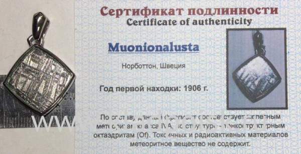 Подвеска из метеорита Муонионалуста (Muonionalusta) ромб, оправа из нержавеющей стали (арт 27)