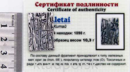 Подвеска из метеорита Aletai, арт 5