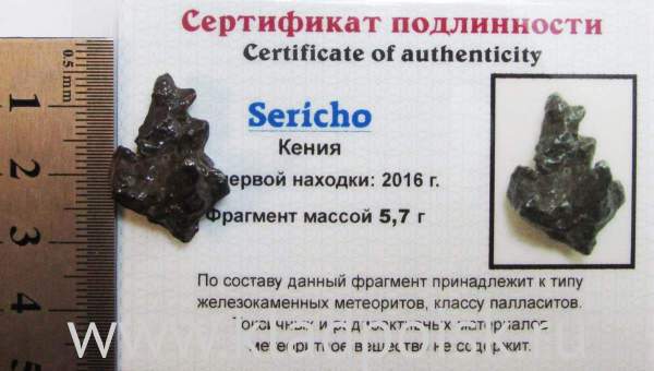 Осколок метеорита Sericho (арт 12) Осколок метеорита Sericho (арт 12)