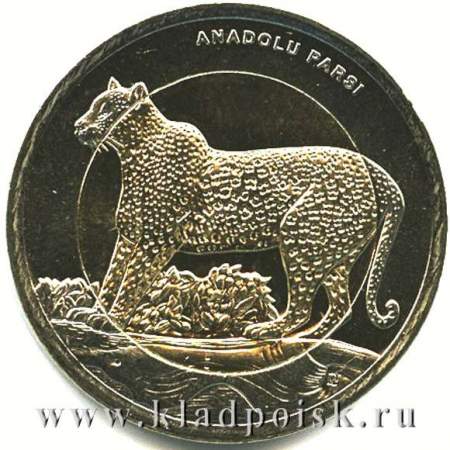 Монета 1 лира Турция – Леопард, 2012