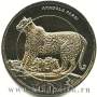 Монета 1 лира Турция – Леопард, 2012