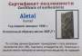 Спил метеорита Aletai, арт 2