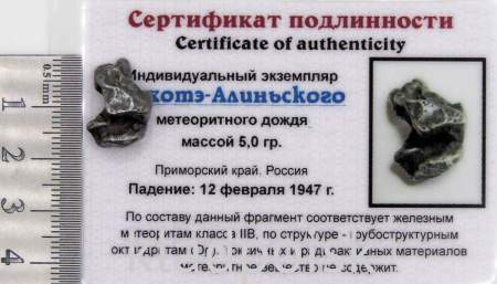 Индивидуальный экземпляр Сихотэ-Алиньского метеоритного дождя (арт 22)