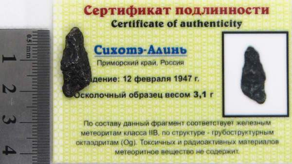 Осколок метеорита Сихотэ-Алинь арт 31