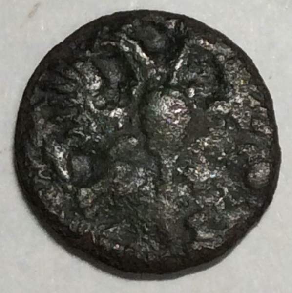 Монета 1 полушка Российской Империи (Петр I) 1700 (арт 2)-1722гг.