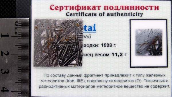 Спил метеорита Aletai, арт 14 Спил метеорита Aletai, арт 14