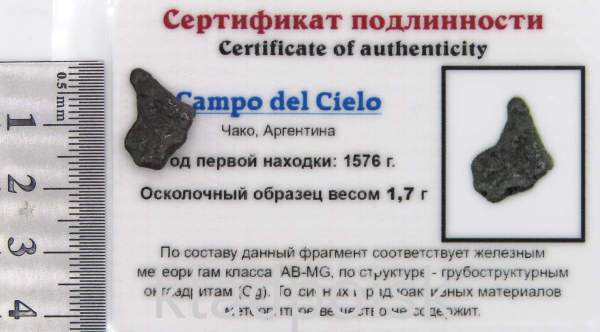 Осколок метеорита Campo del Cielo, арт 38 Осколок метеорита Campo del Cielo, арт 38