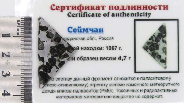 Спил метеорита Сеймчан арт 21