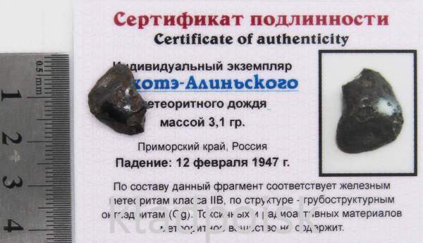 Индивидуальный экземпляр Сихотэ-Алиньского метеоритного дождя (арт 29)