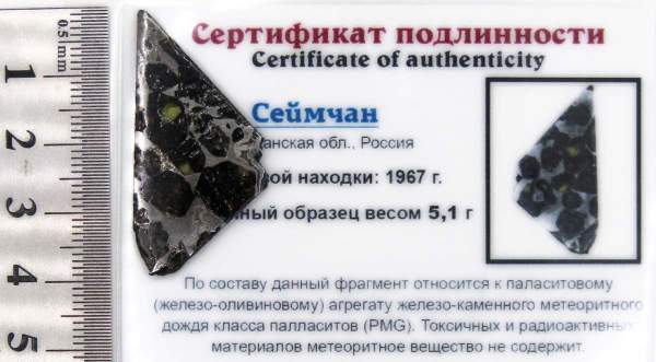 Спил метеорита Сеймчан арт 21