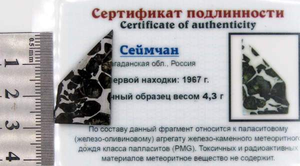 Спил метеорита Сеймчан арт 1