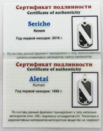 Кулон с метеоритами Aletai и Sericho, арт 10