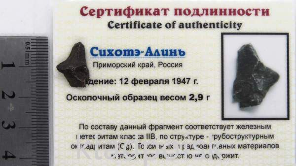 Осколок метеорита Сихотэ-Алинь арт 26