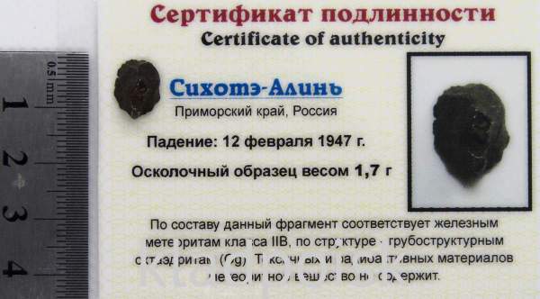 Осколок метеорита Сихотэ-Алинь арт 32