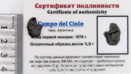 Осколок метеорита Campo del Cielo, арт 30