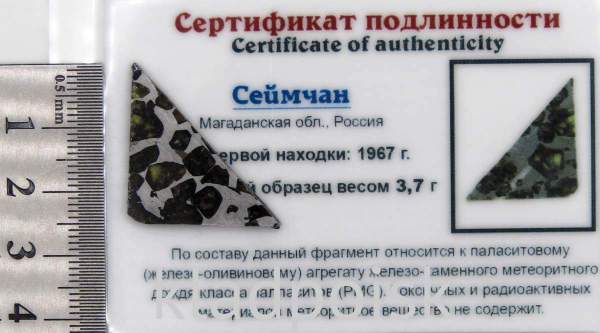 Спил метеорита Сеймчан арт 31 Спил метеорита Сеймчан арт 31