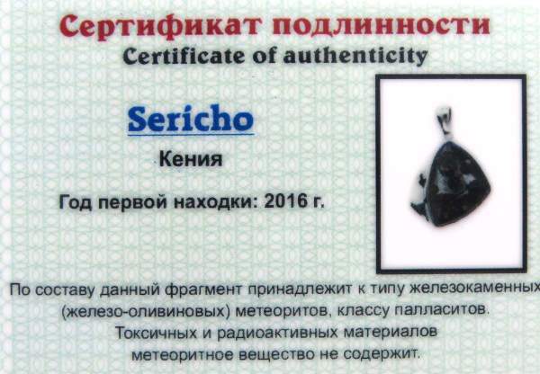 Кулон с метеоритом Sericho, арт 25 Кулон с метеоритом Sericho, арт 25