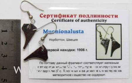 Серьги с метеоритом Муонионалуста (Muonionalusta), арт 3