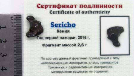 Осколок метеорита Sericho (арт 13) Осколок метеорита Sericho (арт 13)