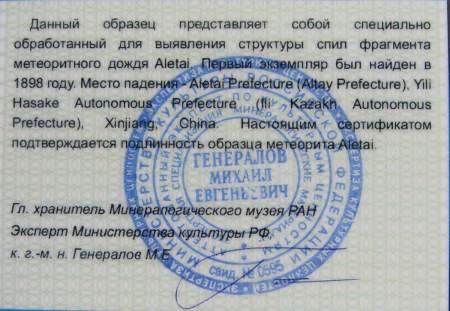 Кулон «Бабочка» с метеоритом Aletai, арт 4 Кулон «Бабочка» с метеоритом Aletai, арт 4